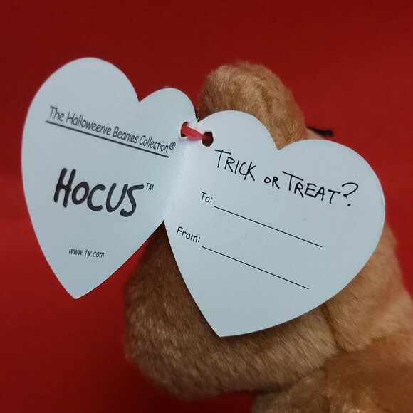 Hocus The Bear Holding Pumpkin Spider on Head 2005 The Halloweenie Beanies Colle - Picture 6 of 12